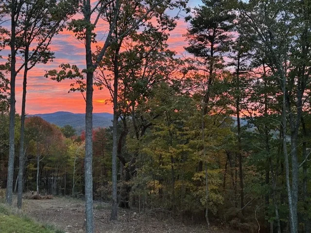 A sunset over a forested landscape with trees, hills, and a sky painted in pink and orange hues.