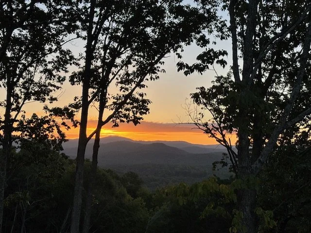 Sunset over a distant mountain range viewed through trees in a forest.