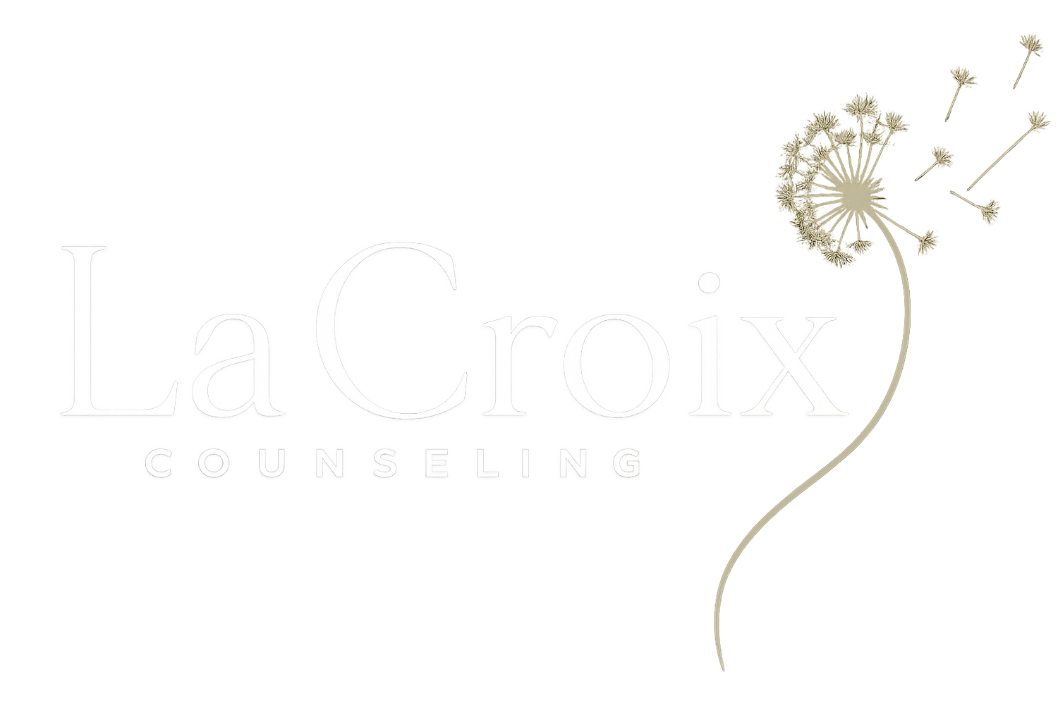 LaCroix Counseling | Virtual Therapy in Minnesota