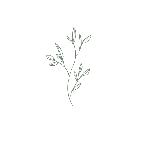 Simple line drawing of a leafy sprig with multiple small leaves on a dark background.