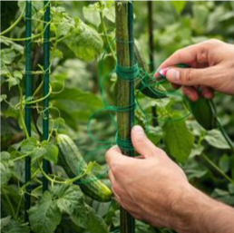 Green Garden Wire (with Cutter)
Strong plant ties for cucumbers, tomatoes, and snap peas. Keep climbing plants supported and tidy.