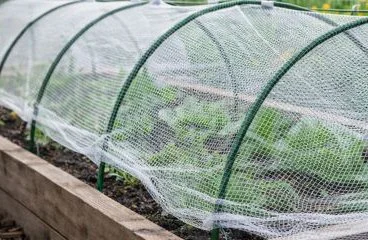 Garden Hoops + Netting 
10x30FT Protects raised beds from pests, birds and unwanted critters.

Use the hoop system to secure the cold frame plastic for winter & early spring growing