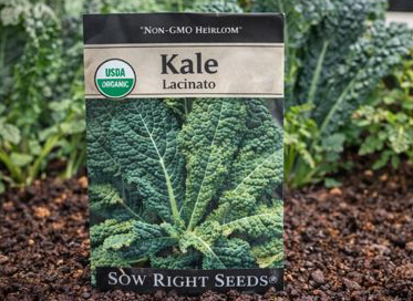 Sow Right Lacinato Kale Seeds - This beloved heirloom Lacinato Kale offers rich flavor and dependable growth all season long. Non-GMO seeds that deliver hearty, dark blue-green leaves ideal for salads, soups, and garden-to-table meals.