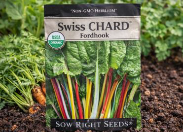 Sow Right - Fordhook Swiss Chard Seeds
Grow vibrant, delicious greens with this reliable heirloom variety. Non-GMO seeds that produce tender leaves and colorful stems perfect for sautéing or fresh picking.