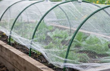 Garden Hoops + Netting 
10x30FT Protects raised beds from pests, birds and unwanted critters.

Use the hoop system to secure the cold frame plastic for winter & early spring growing
