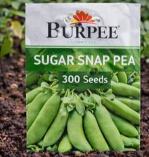 Burpee Sugar Snap Pea - Sweet, crunchy snap peas that thrive on trellises and produce heavy spring harvests, No GMOs, ever.