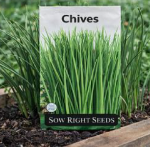 Chives – Fresh, Non-GMO Heirloom chives perfect for your kitchen garden & help to keep pests at bay. Let it bloom & bring on the pollinators.