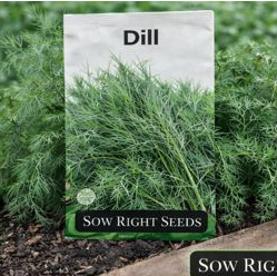 Dill – Non-GMO Heirloom dill, perfect for pickling and fresh dishes. Let it flower and bring on the pollinators.