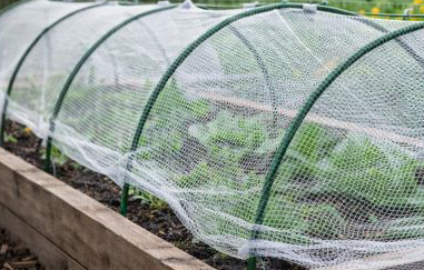 Garden Hoops + Netting 
10x30FT Protects raised beds from pests, birds and unwanted critters.
