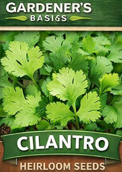 Gardener’s Basics Cilantro (Non-GMO Heirloom Seeds) 
Quick-growing cilantro perfect for companion planting, pollinator support, and organic home gardens.