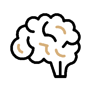 Simple illustration of a human brain in beige on a black background.