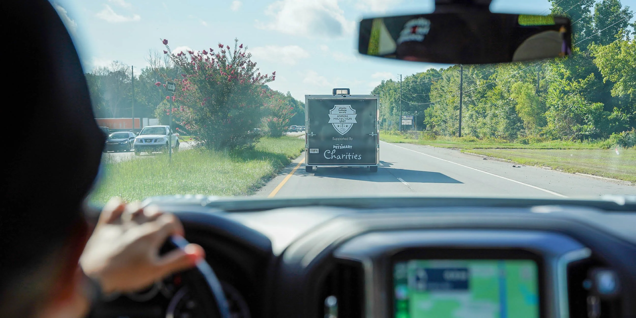 A feline cruelty rescue still under investigation.