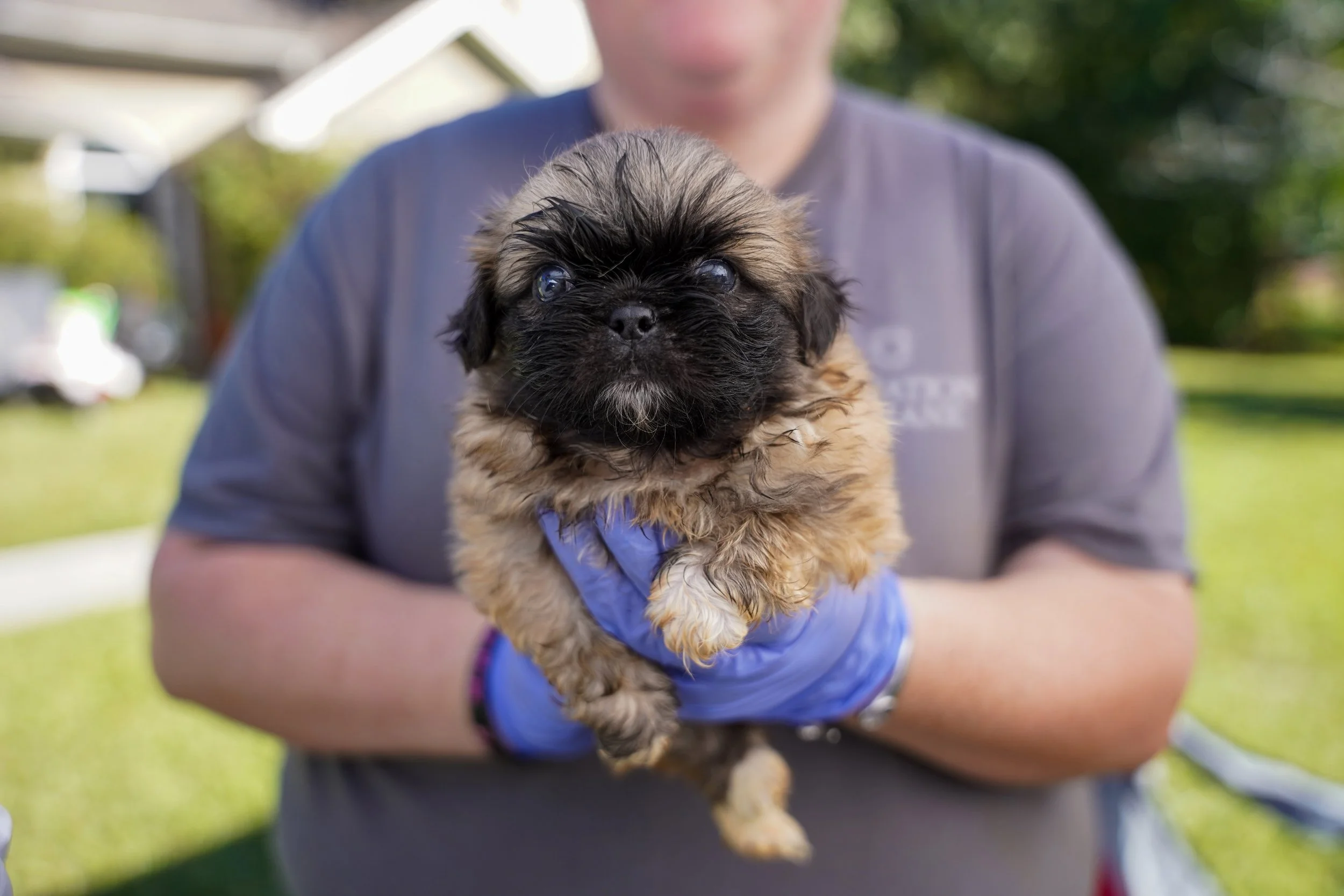 200 Animals Rescued.