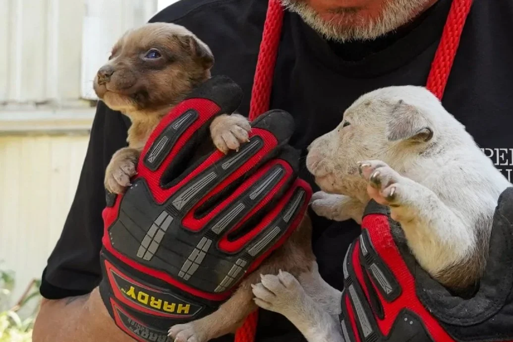 Stepping in where resources didn’t exist.