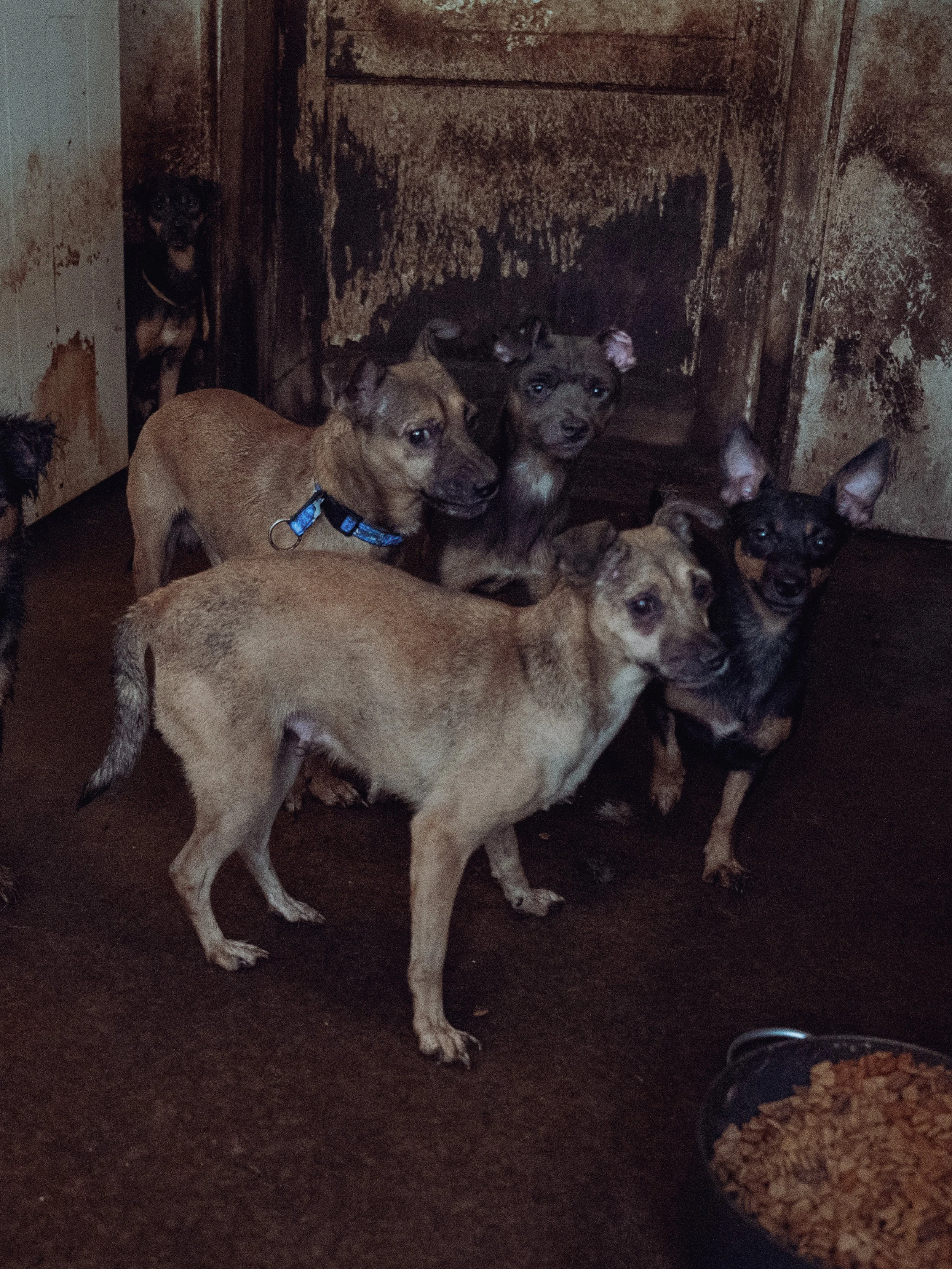 Lamar County Rescue_3-4 OPH (4).jpg