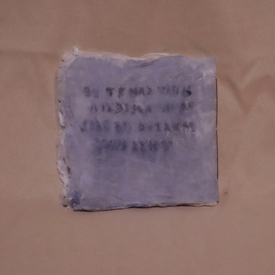 used tissue - 4 back.JPG