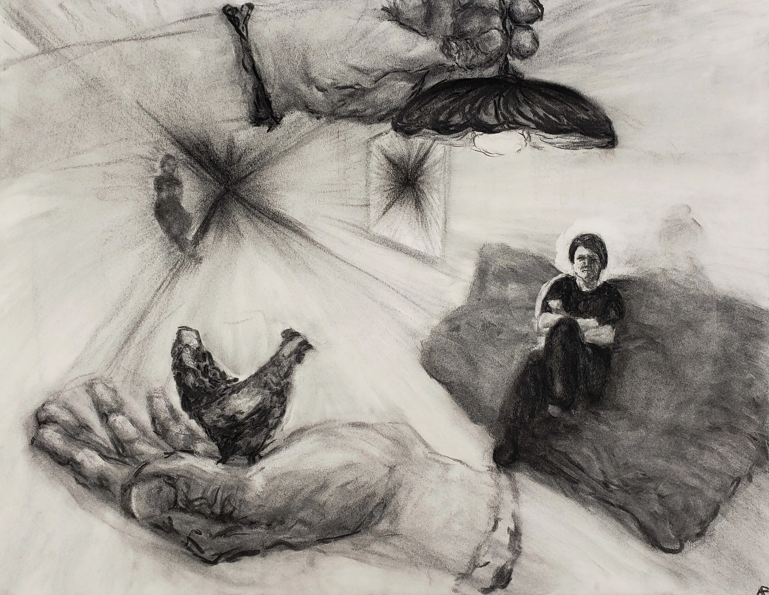 a room, 2024 charcoal