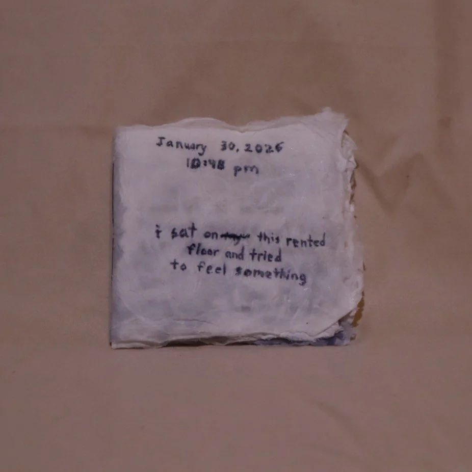 used tissue - 1 cover.JPG