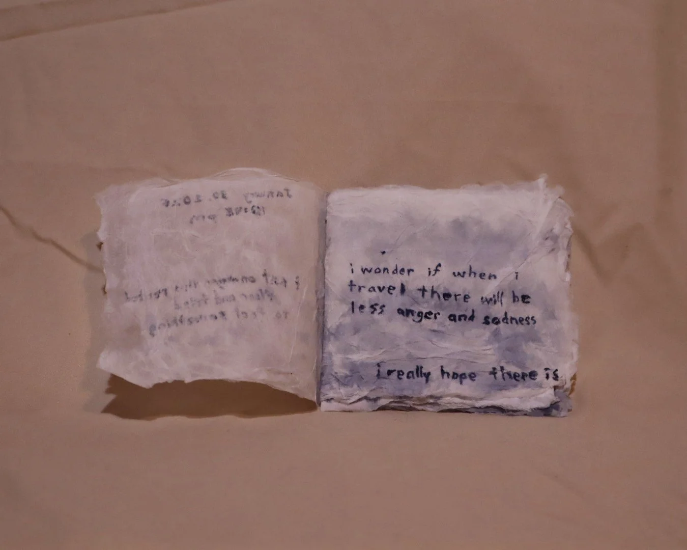 used tissue - 2 pg 1.JPG