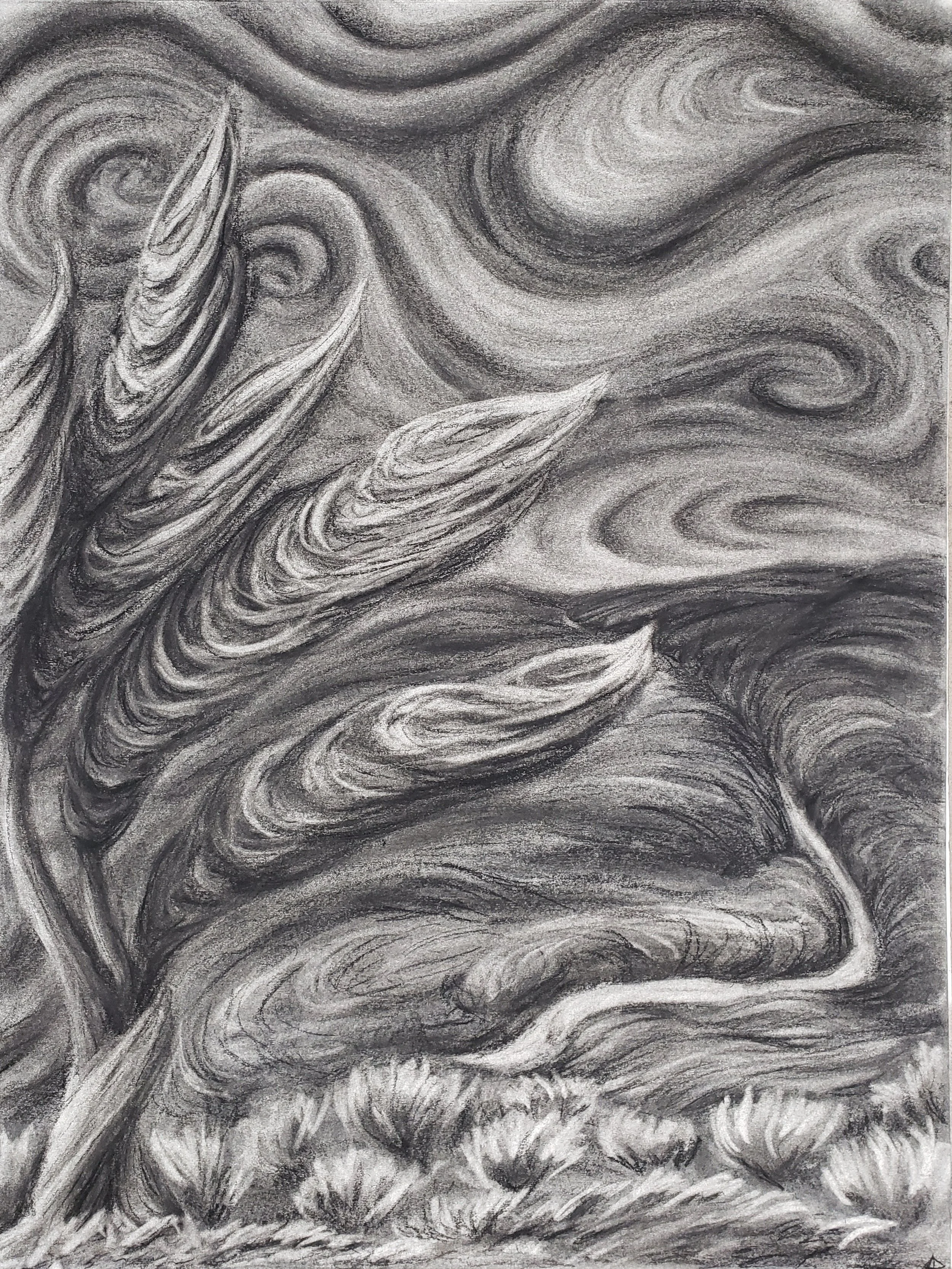 wheat, 2024, charcoal