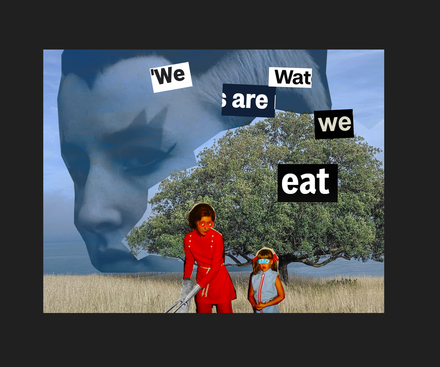 we are wat we eat
2025
adobe illustrator