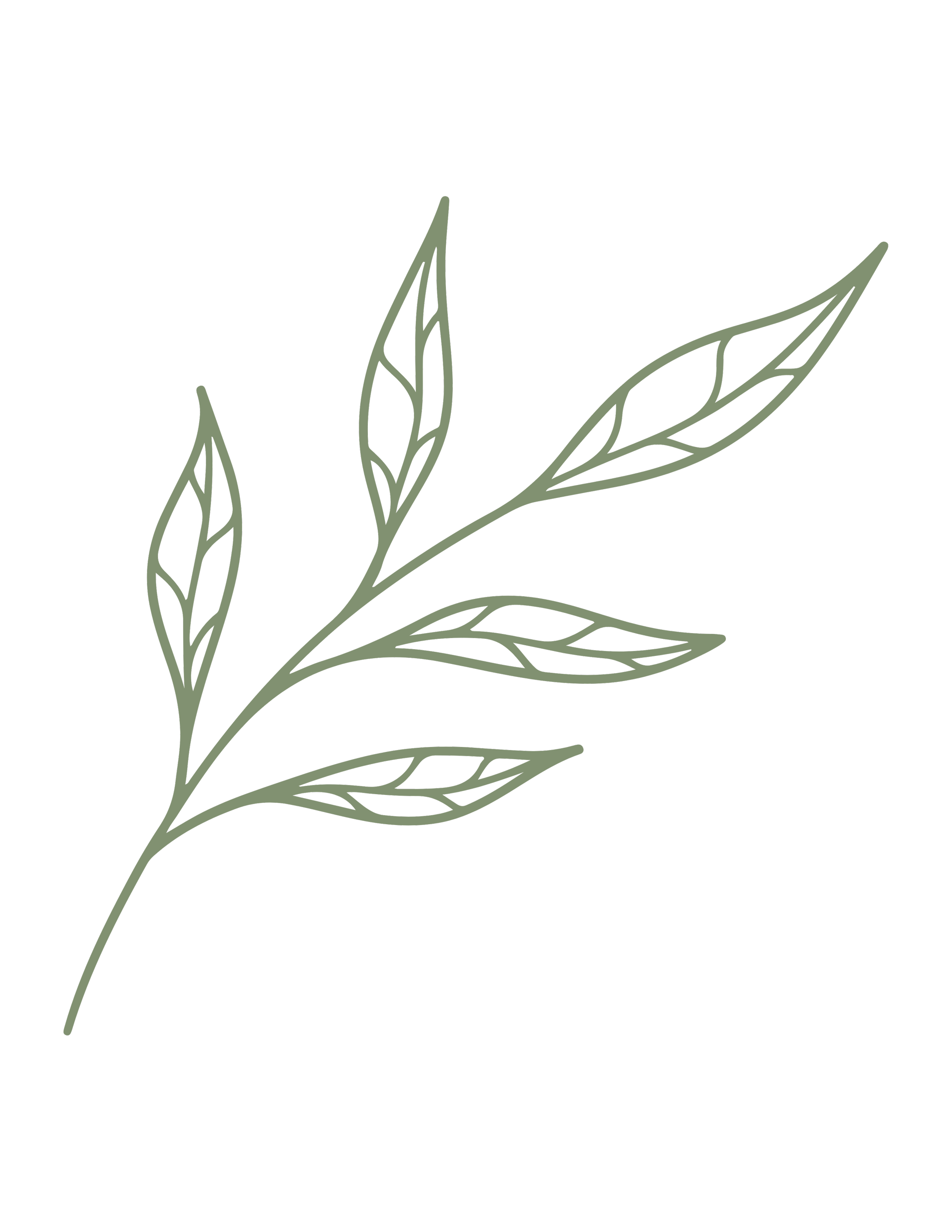 Line drawing of a green leafy branch on a black background.