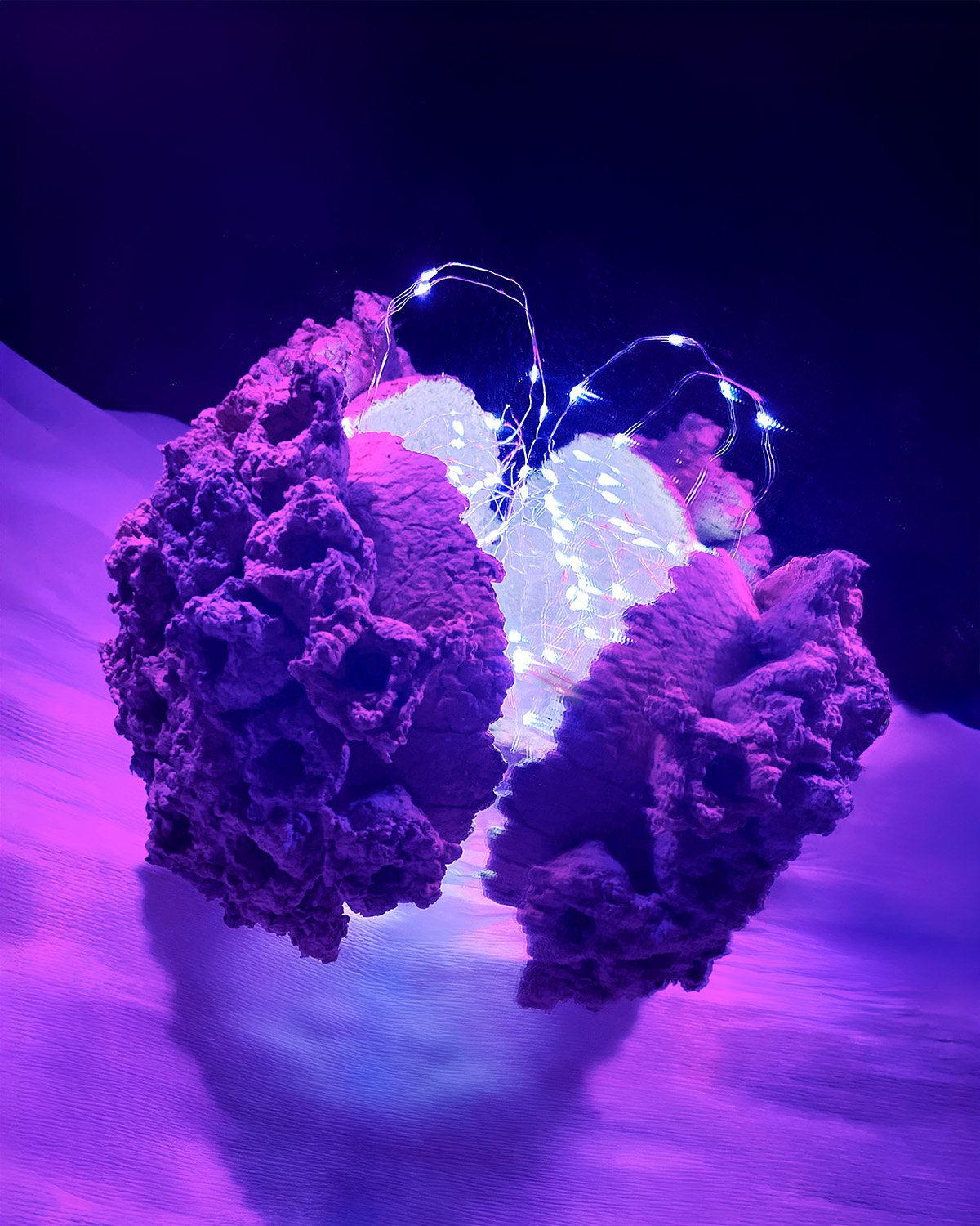 Portal II_1_feed.jpg