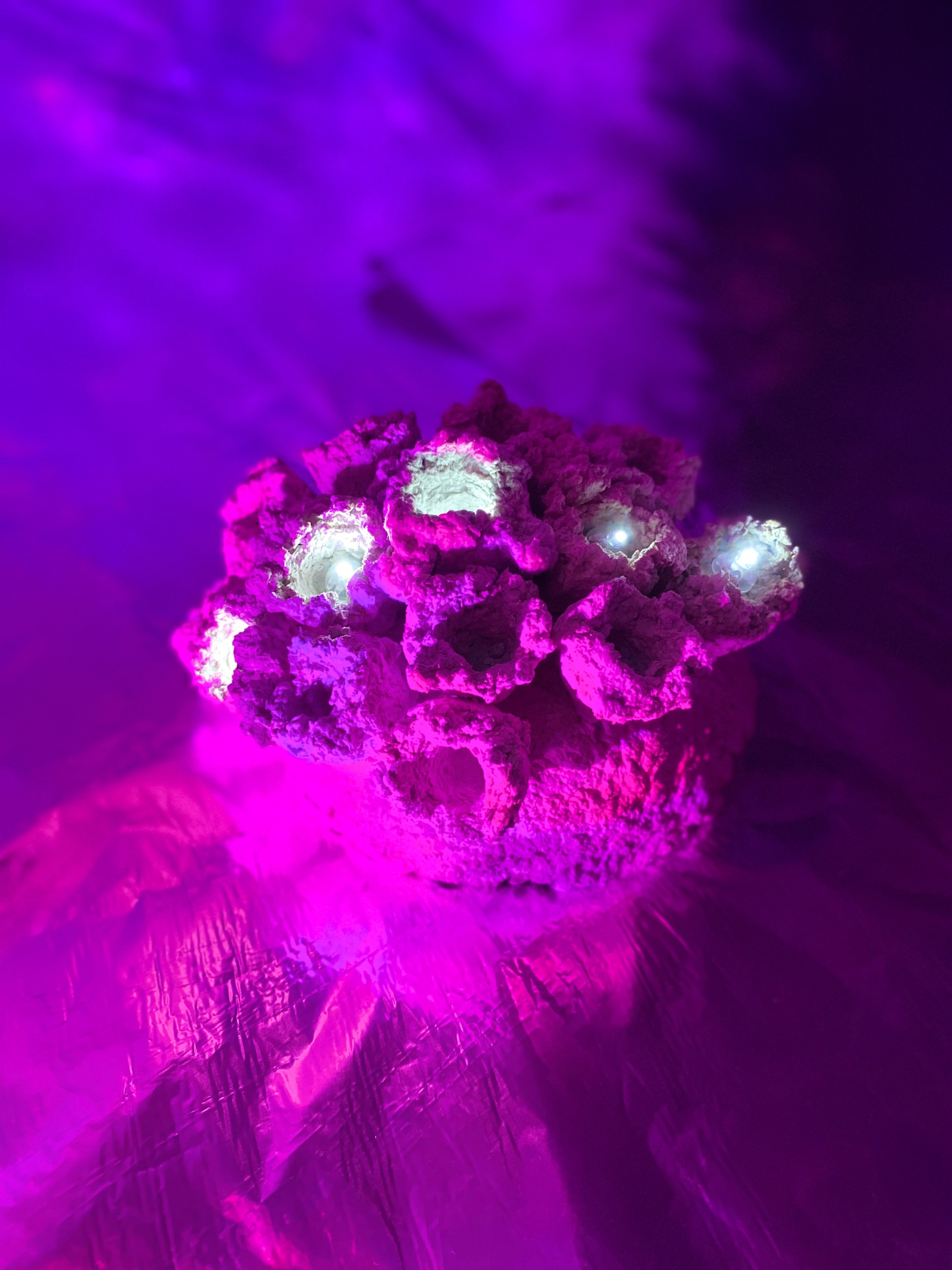 Transmission I_2_phone.jpg