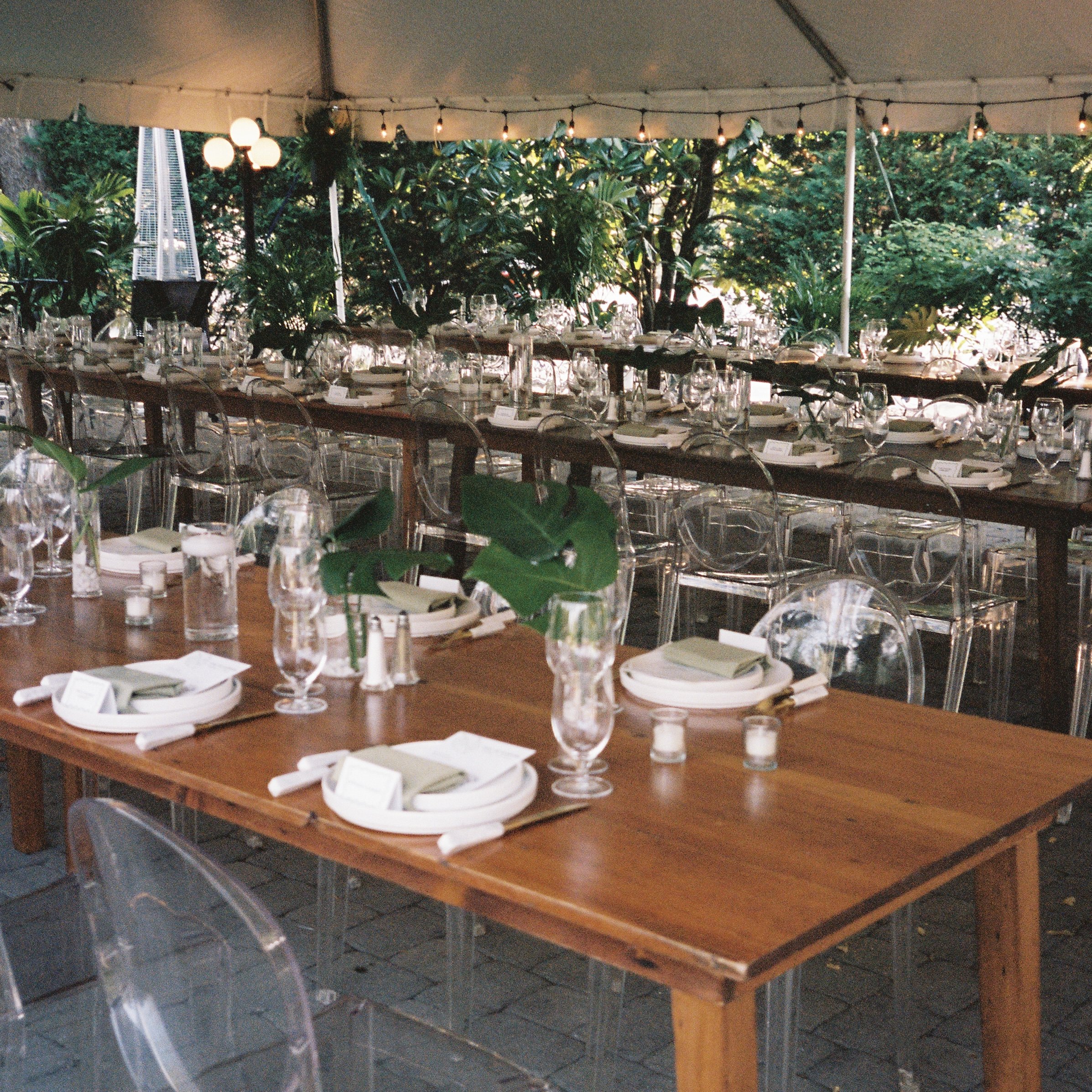 A beautifully set outdoor banquet table under a large tent, decorated with glassware, plates, folded napkins, and green foliage, surrounded by transparent chairs, with lush greenery and string lights in the background.