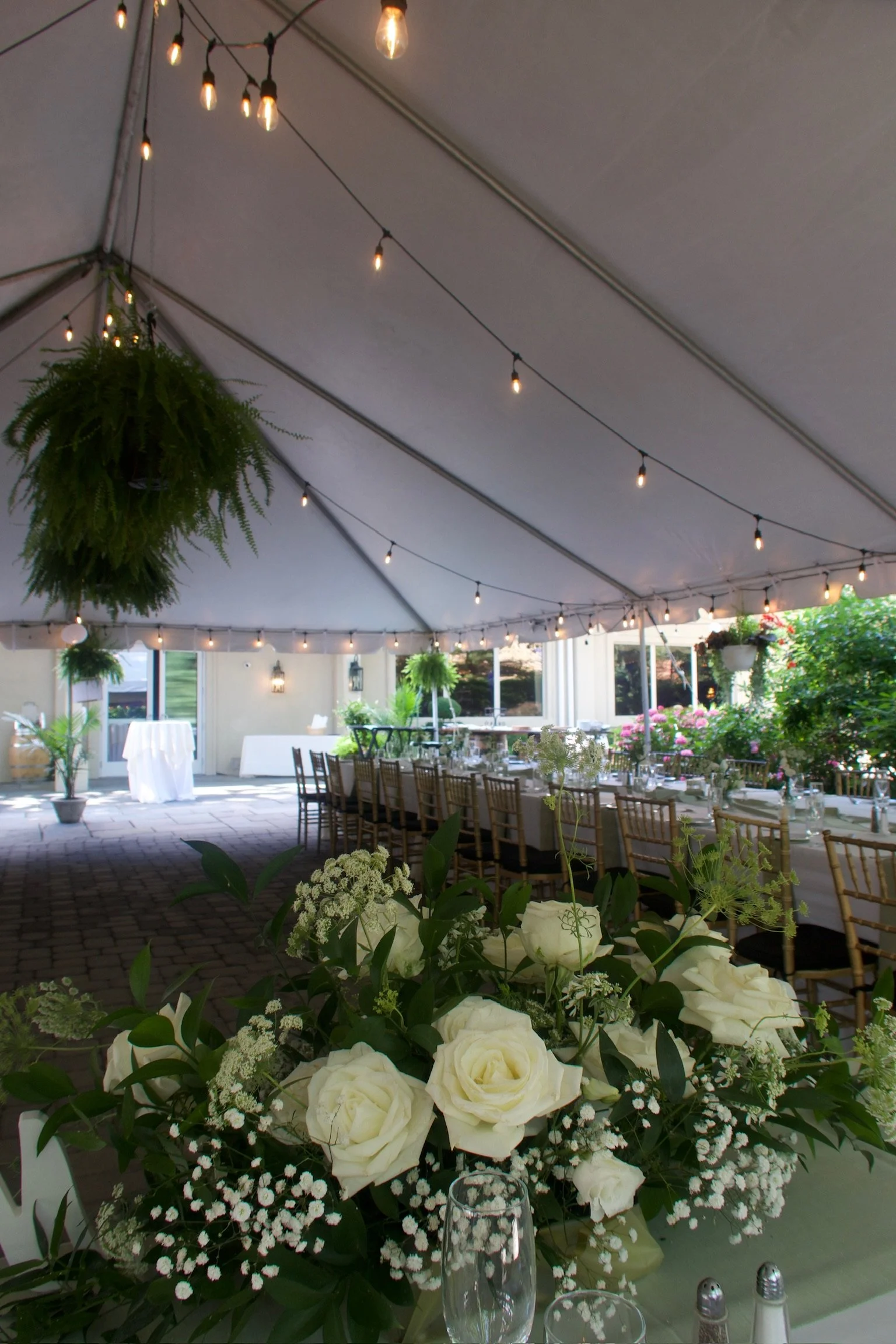 An indoor event space decorated with hanging lights, potted plants, and a long table set with glassware and floral arrangements, suitable for a celebration or reception.