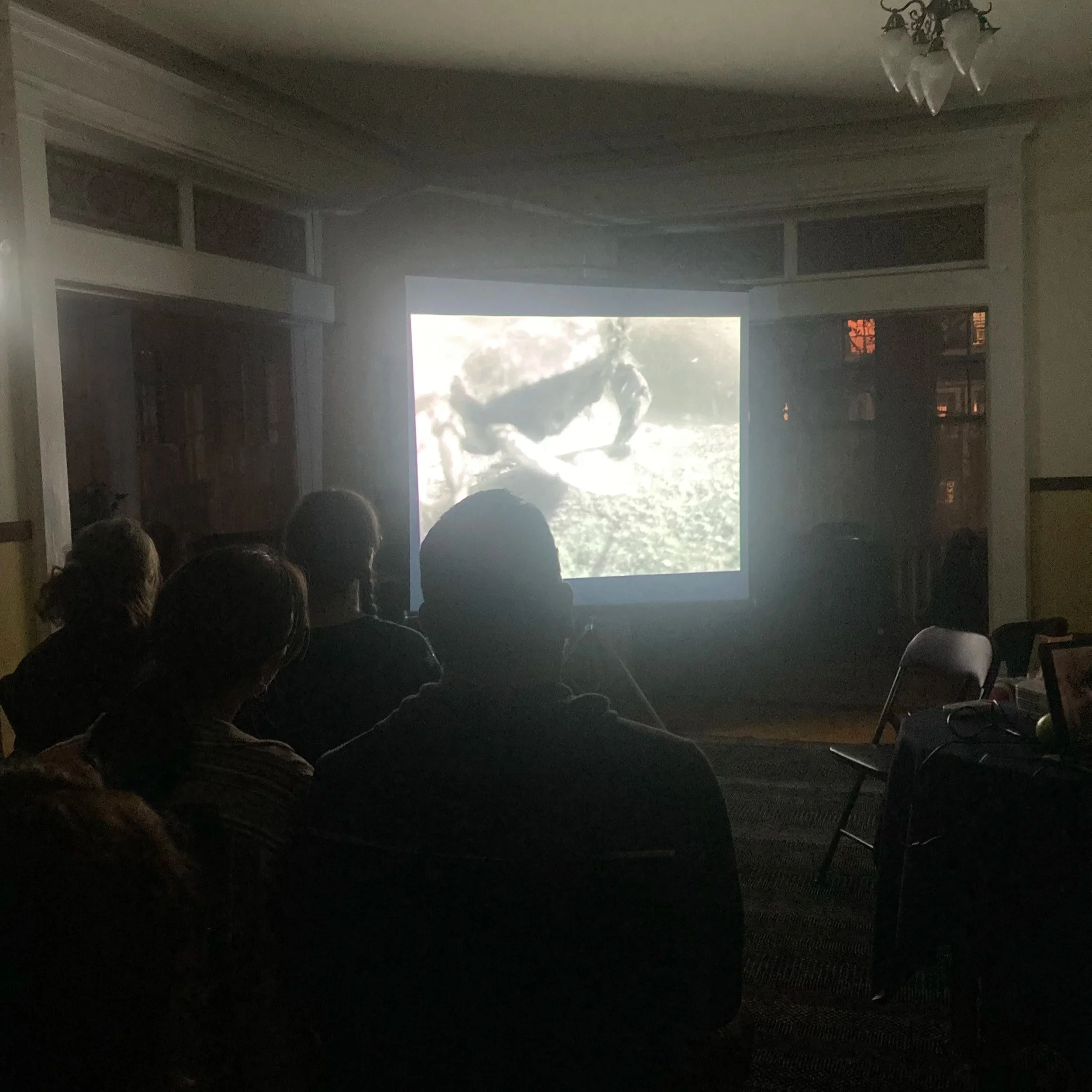 Proteus (short film)