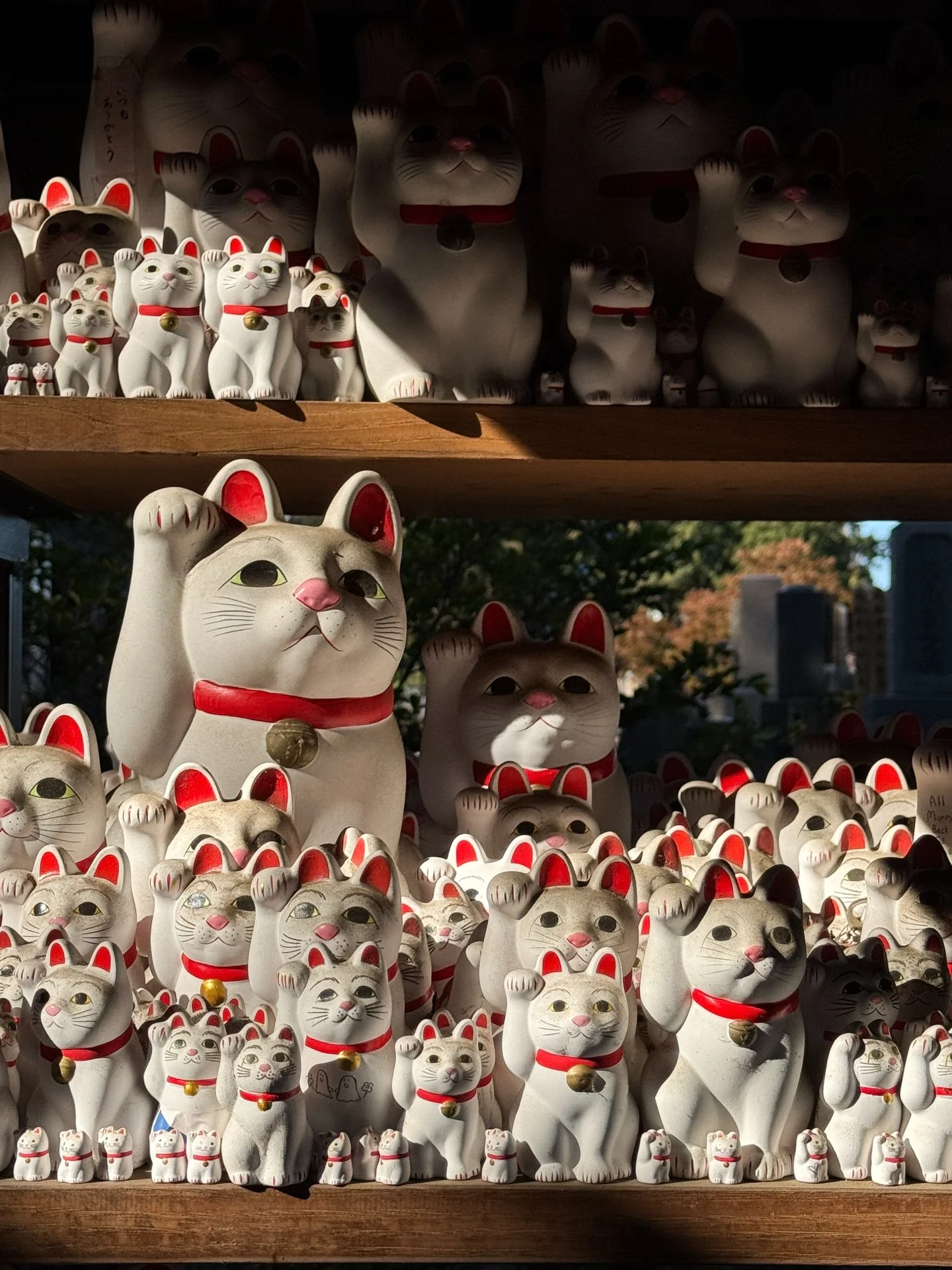 Setting our intentions for the year ahead, and excited to see where 2026 will take us....