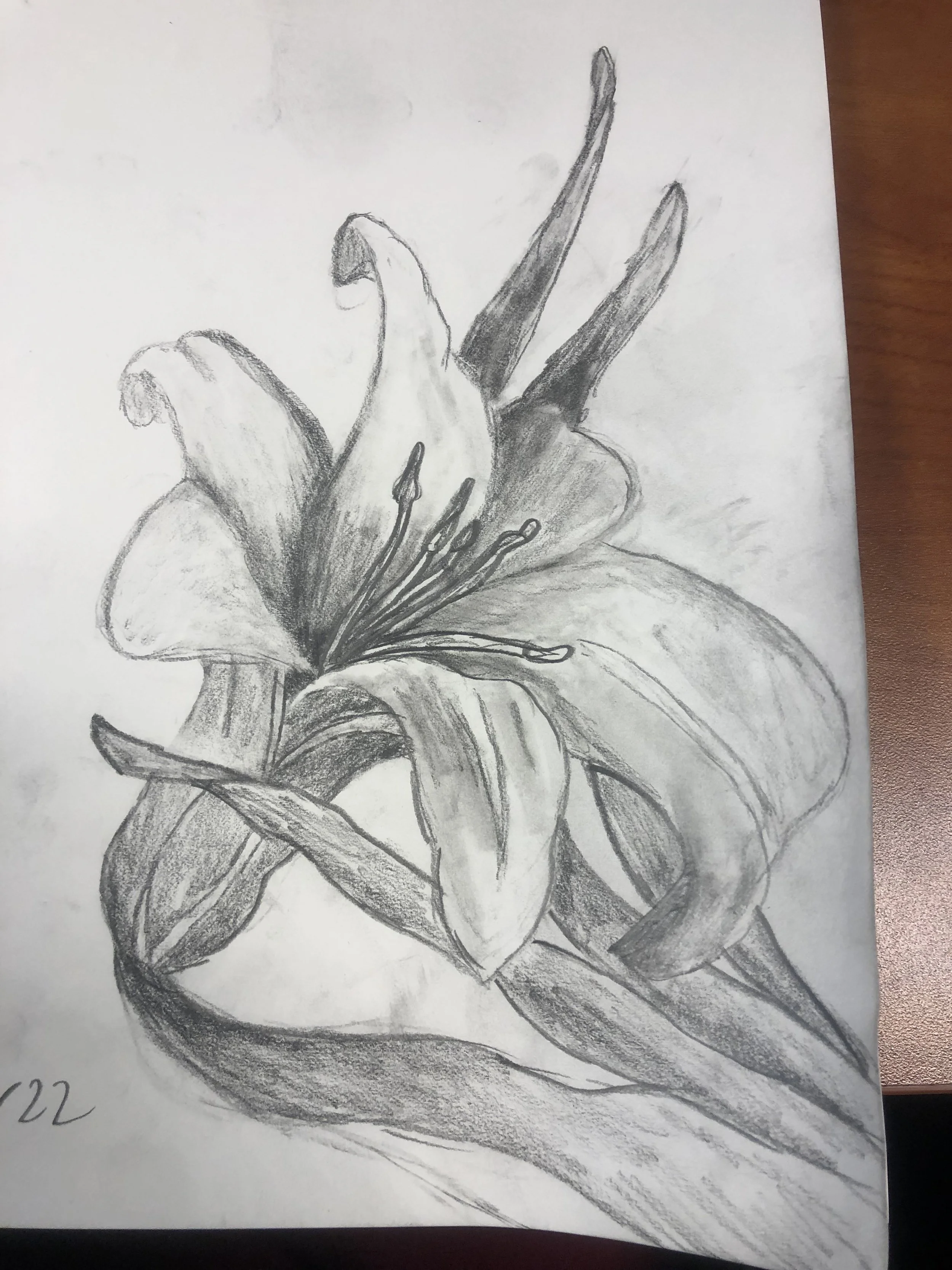 Flower Sketch- Traditional Art