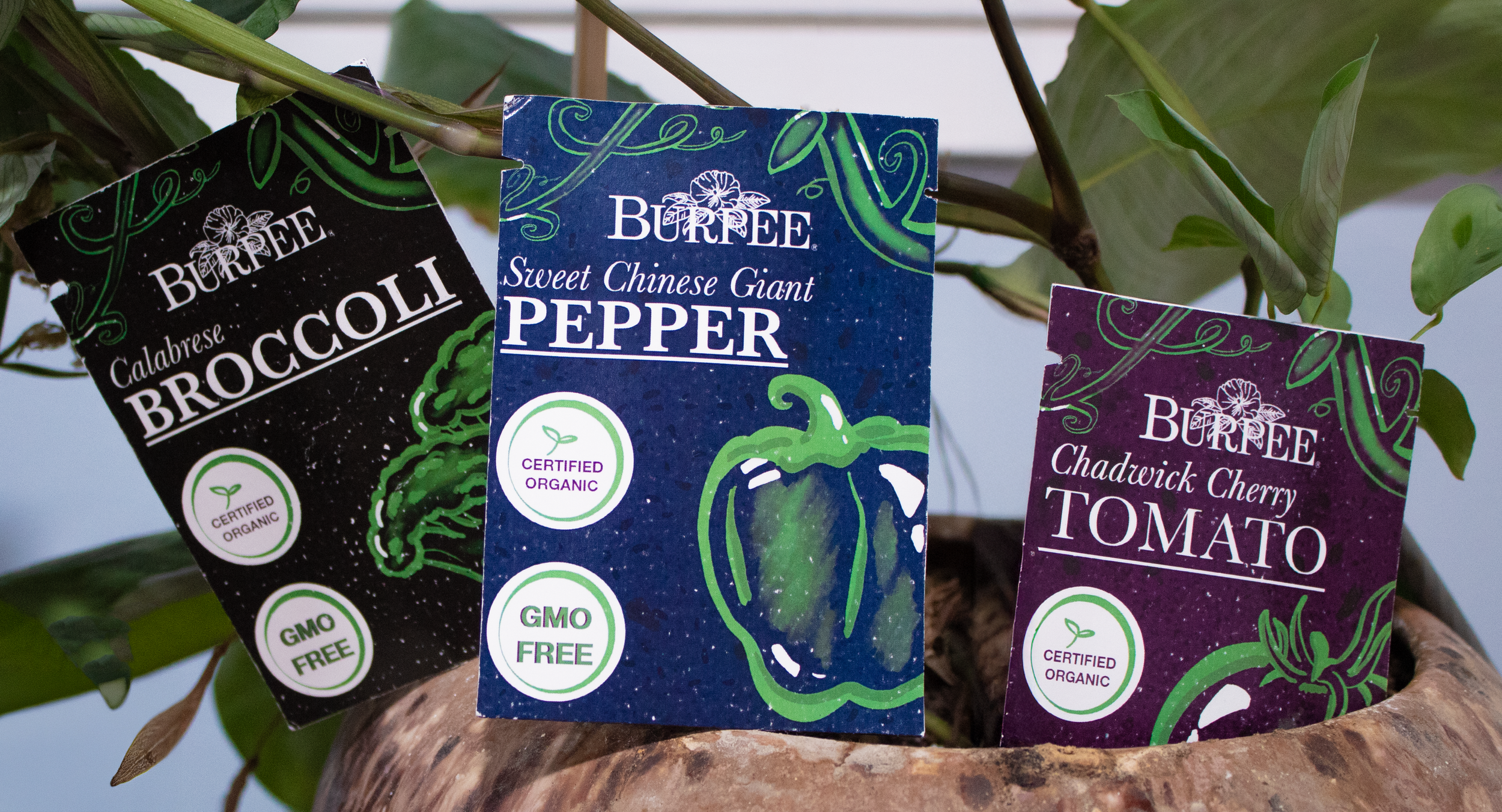 Burpee Seeds- Packaging Design