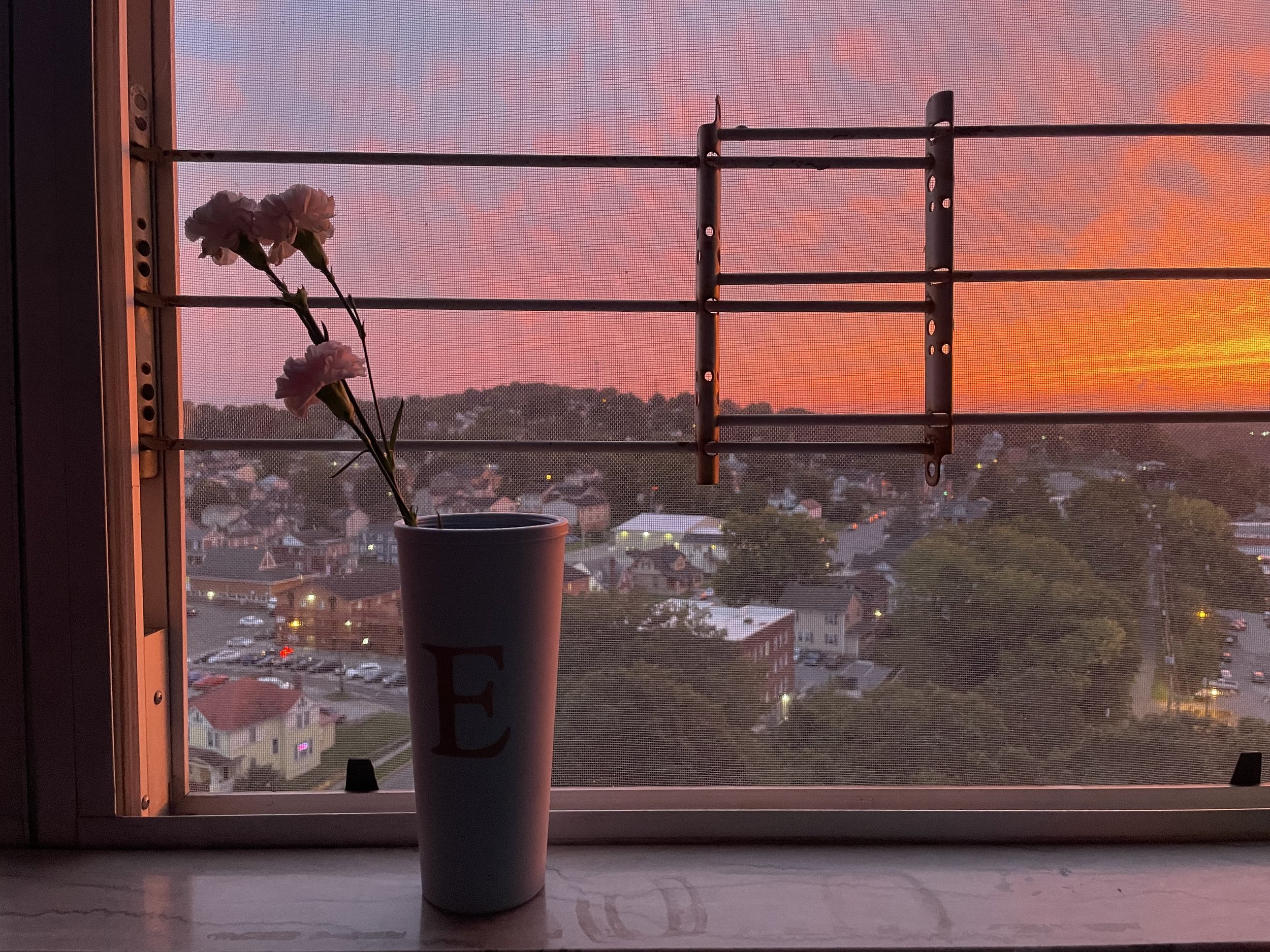 Framing- Photography