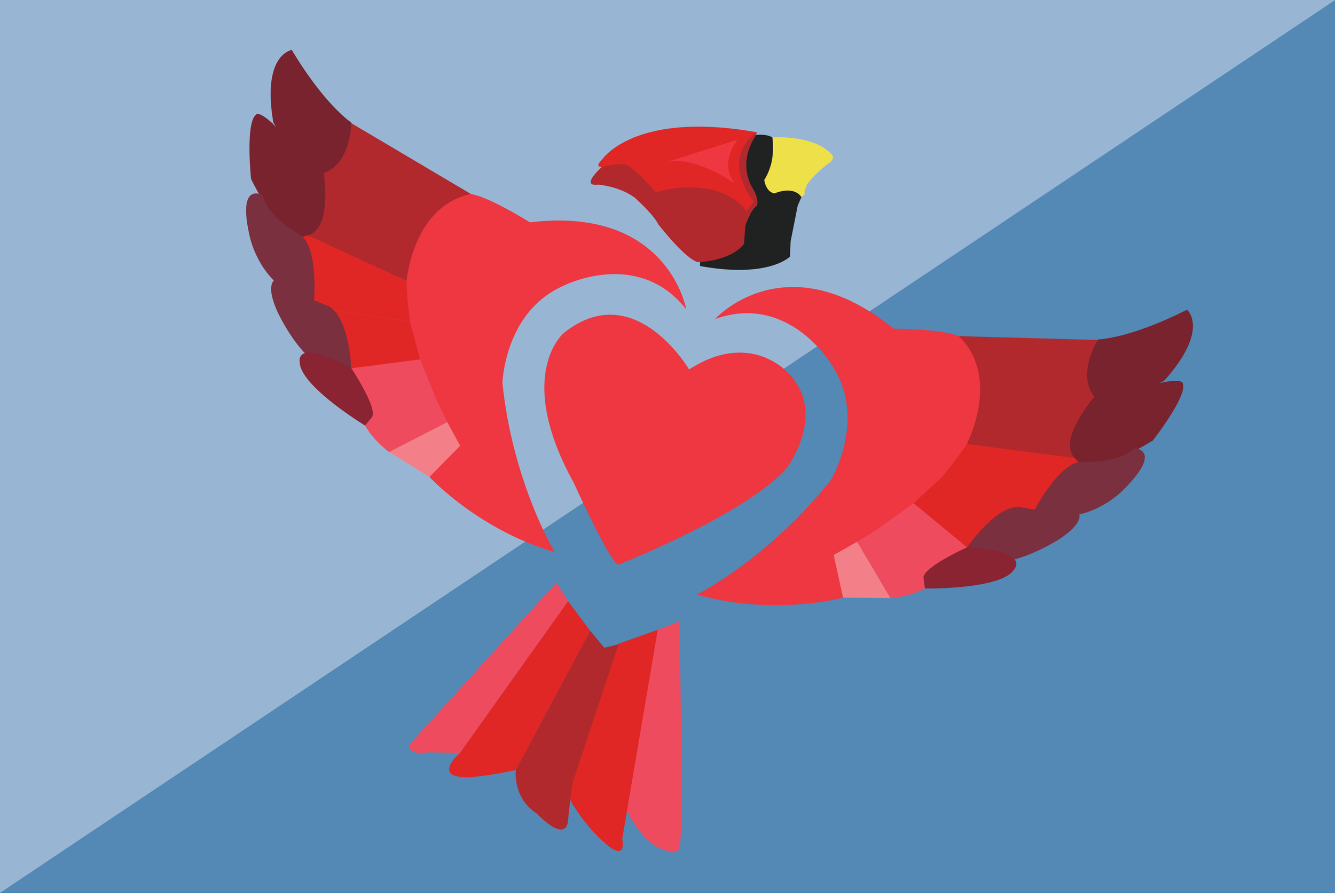 Flag Redesign- Art in Design