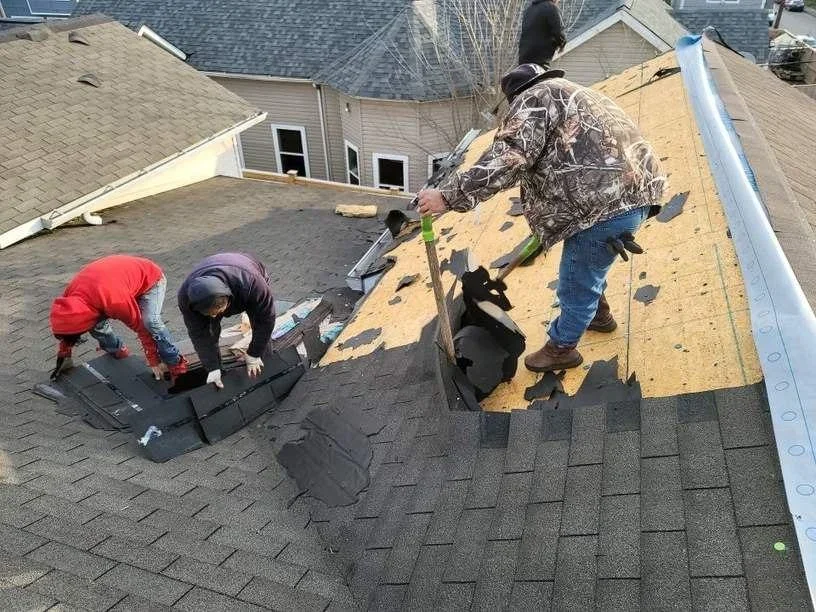 Two workers are replacing shingles on a roof; one is on a section of the roof with black shingles, and the other is on a section with brown plywood and underlayment.