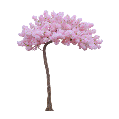 11 ft cherry blossom.png
