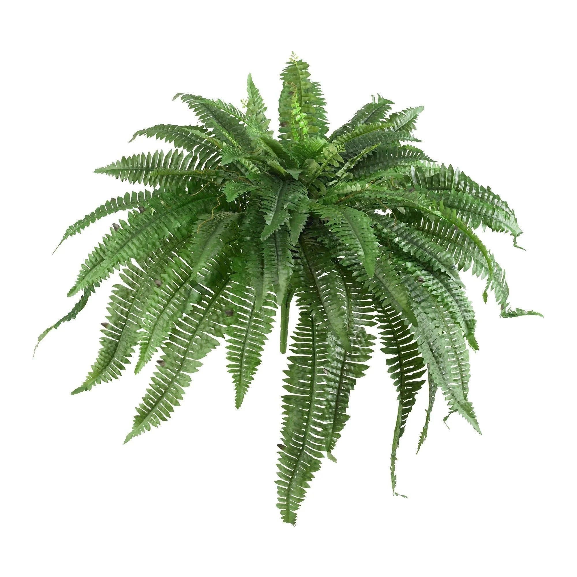 4’ Fern Arrangement