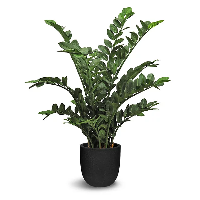 Artificial Zamioculcas Plant