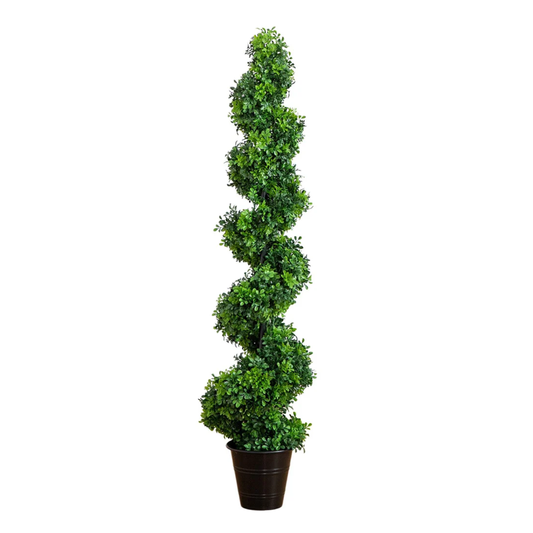 Boxwood Spiral Topiary