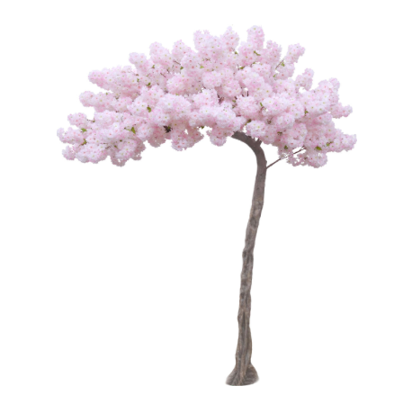 Light pink cherry blossom tree.png