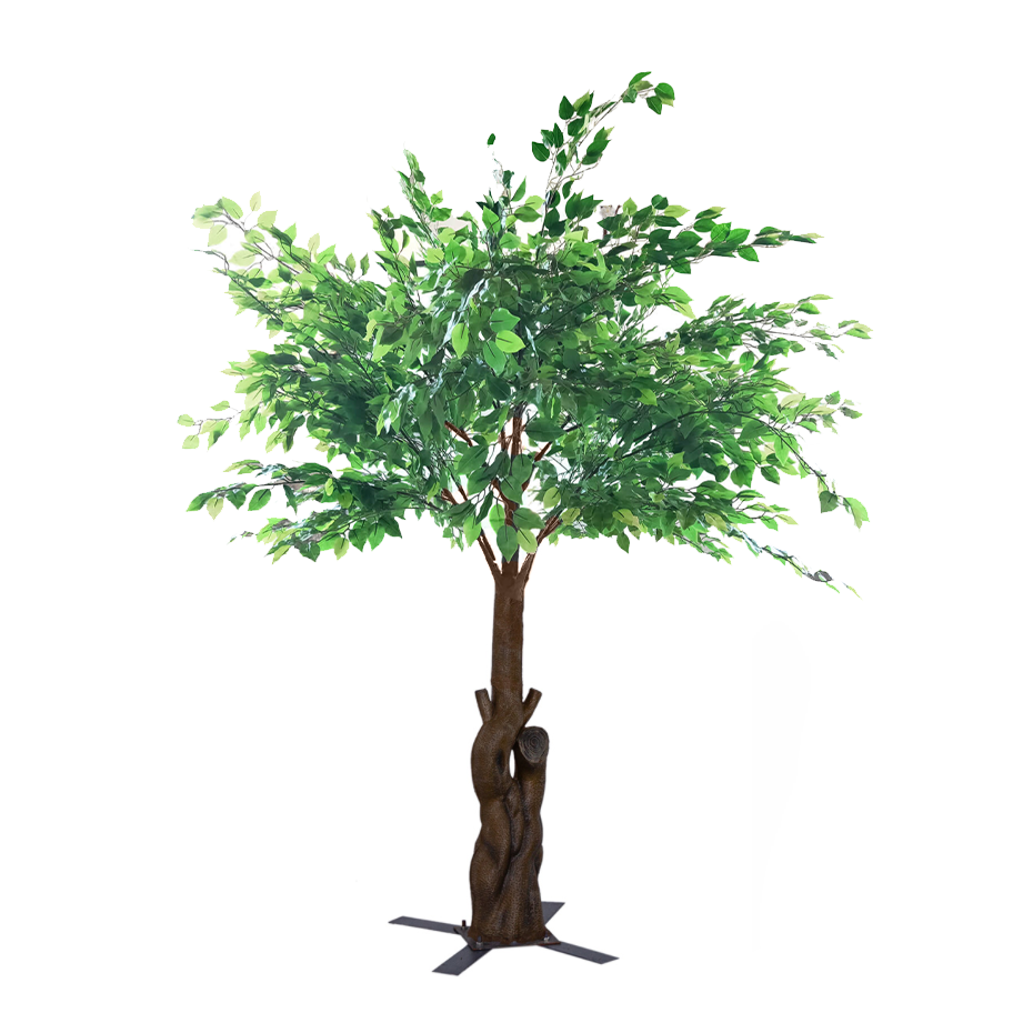 10 foot fig leaf tree.png