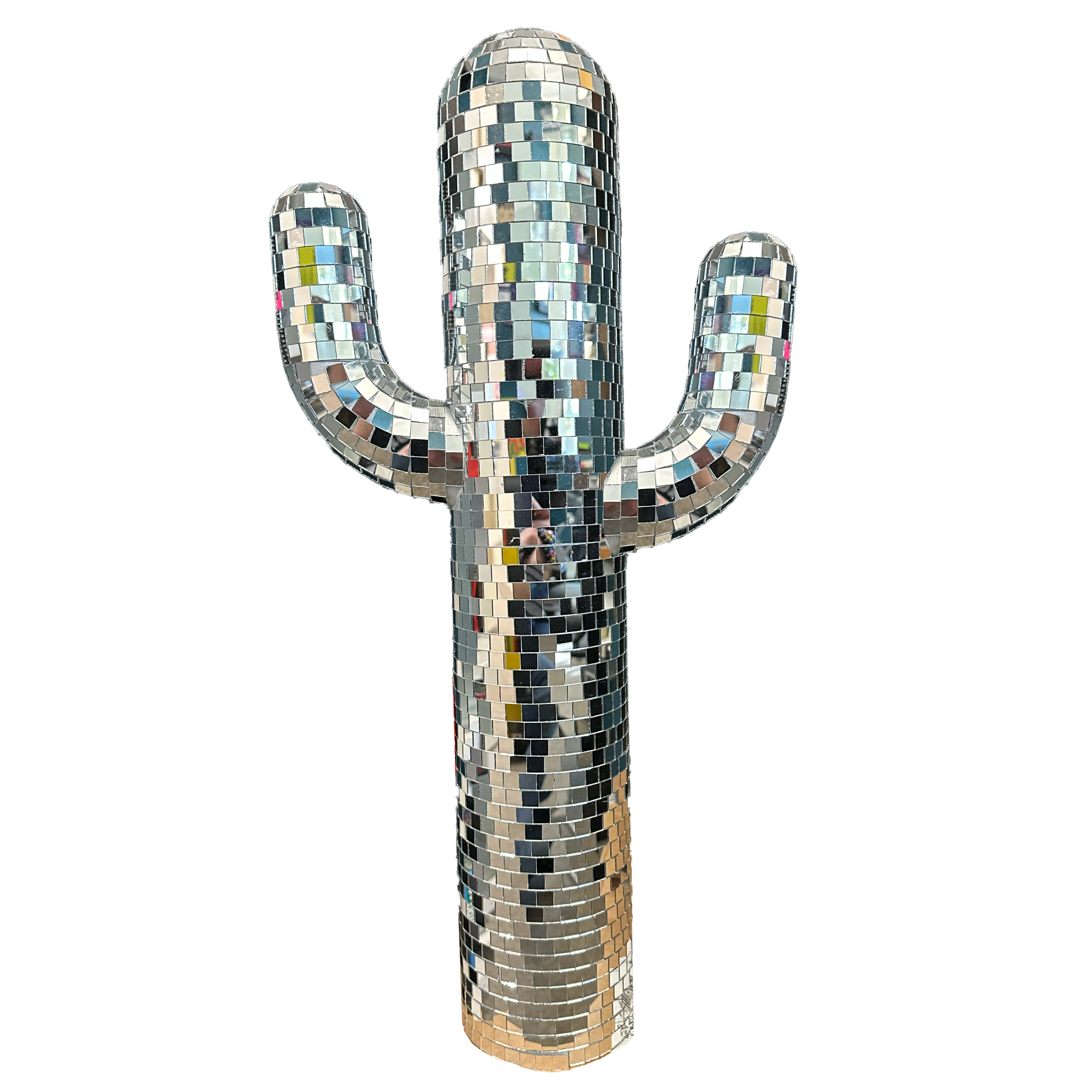 Medium Cactus.png