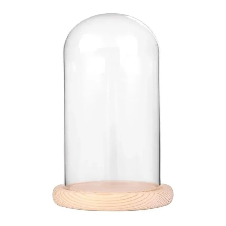 Glass Cloche With Base