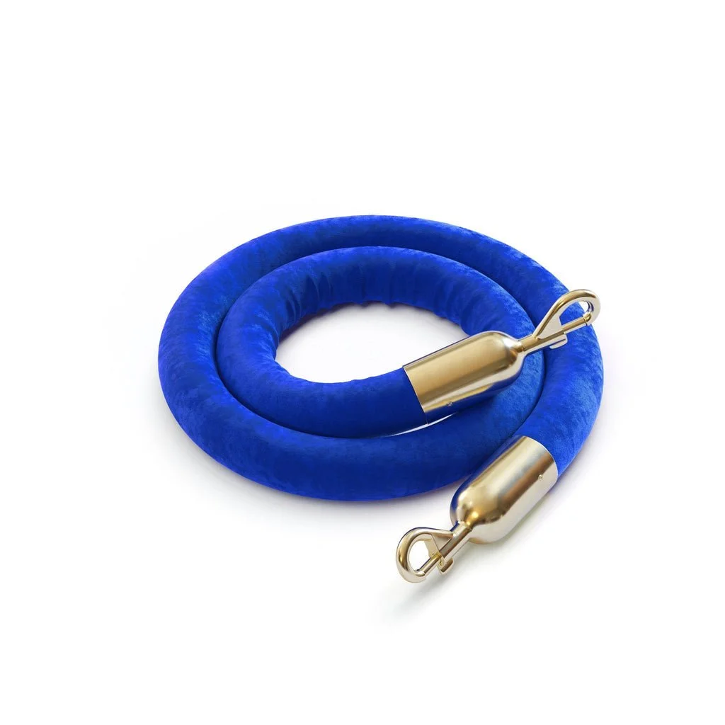 Blue stanchion rope with gold.jpg