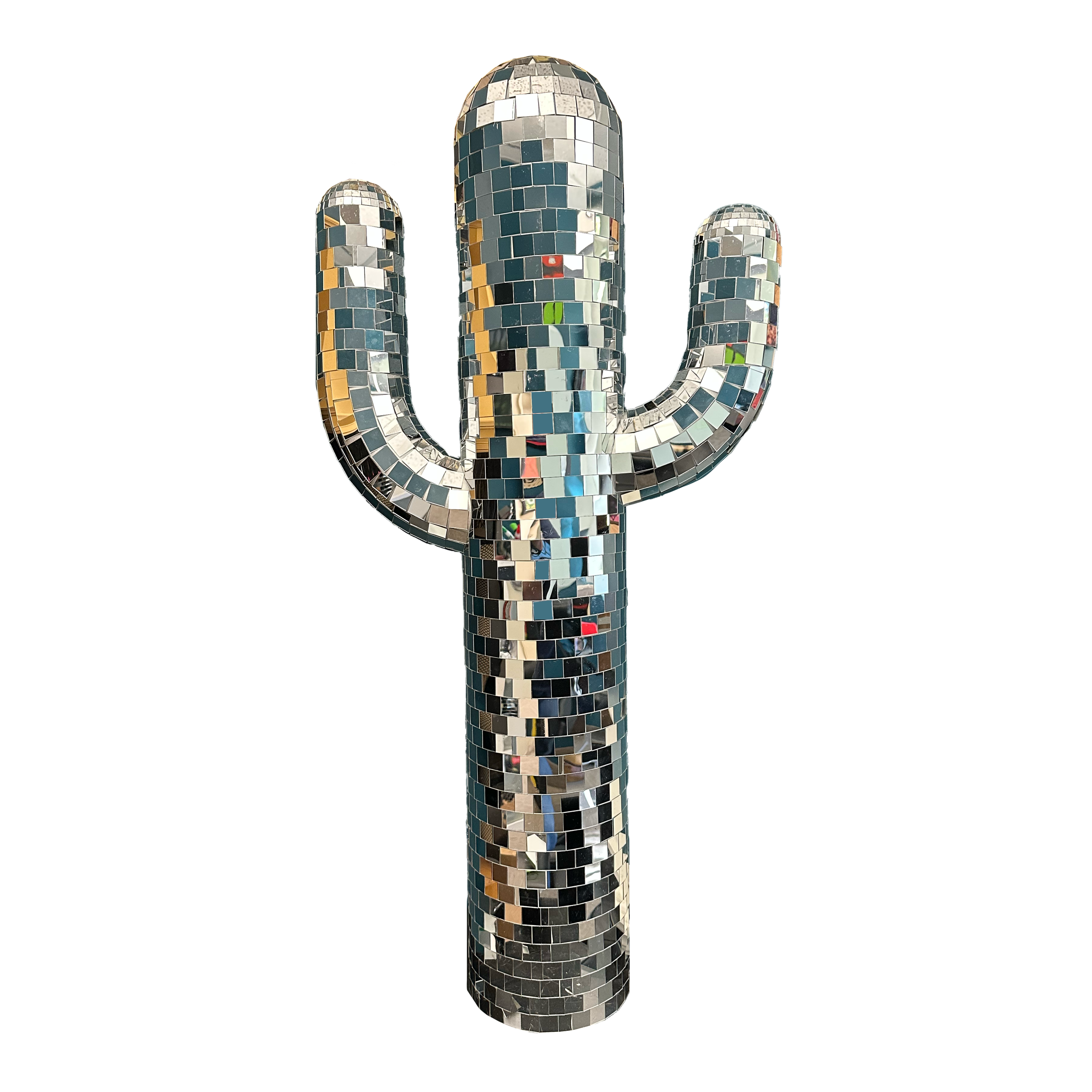 Large Cactus.png