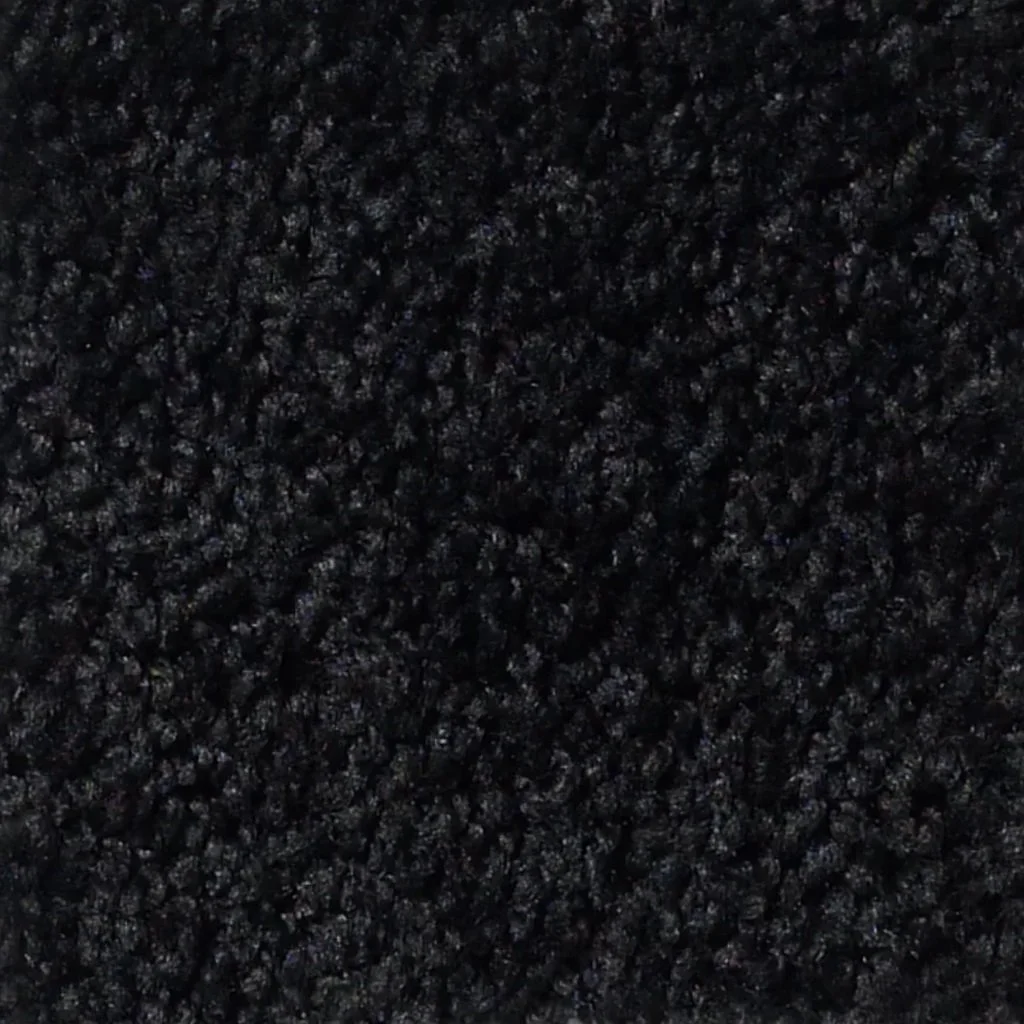 Black area rug.jpeg