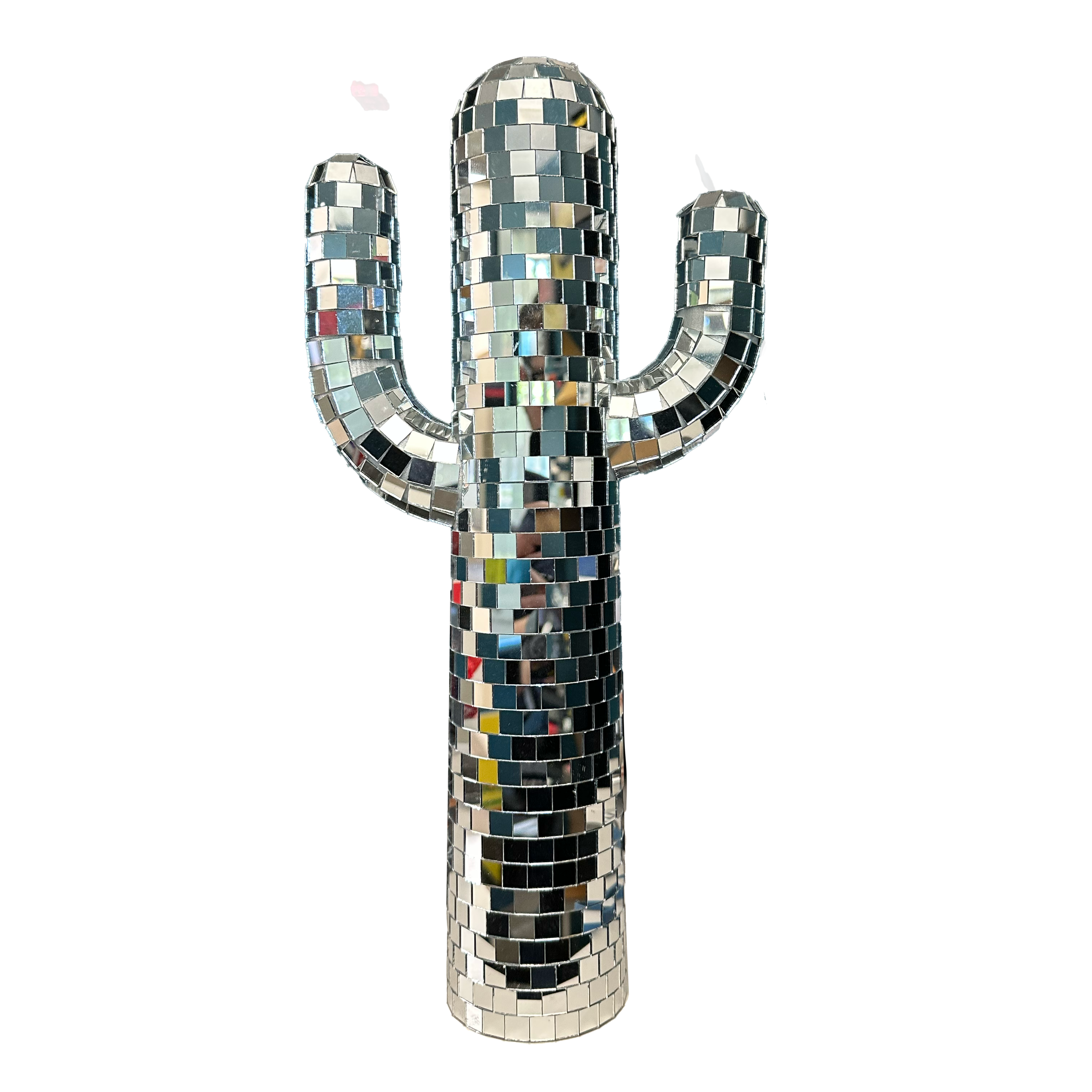 Small Cactus.png