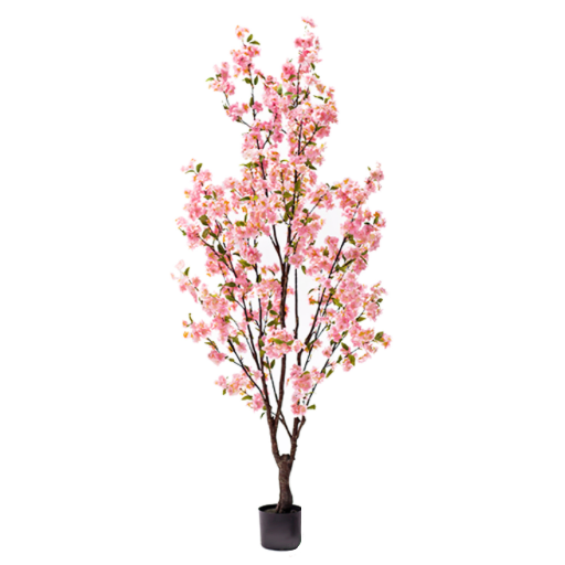 8.5’ Cherry Blossom Tree